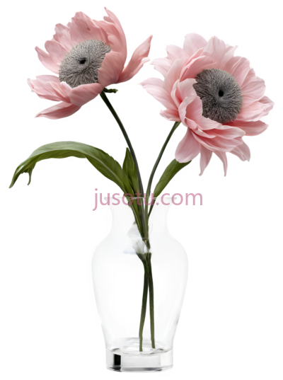 花,仿真,粉色, PNG