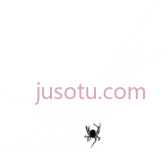 蜘蛛网,线条,白色PNG