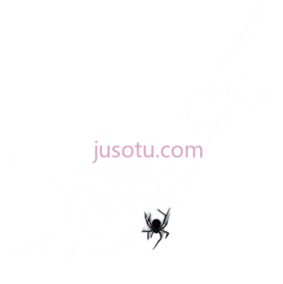 蜘蛛网,线条,白色, PNG