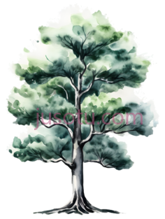 一棵树PNG