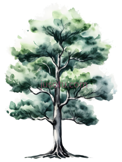 一棵树, PNG