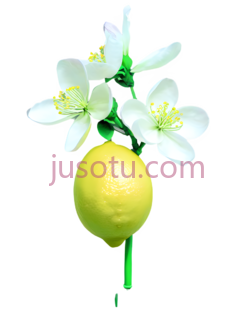 花朵,柠檬绿,深紫色PNG