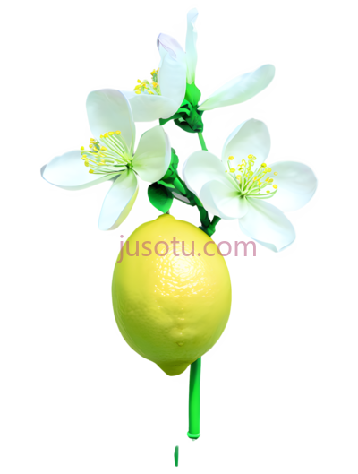 花朵,柠檬绿,深紫色, PNG