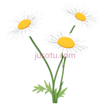 雏菊,卡通,白色,黄色, PNG