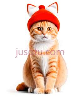猫,戴帽子的卡通猫,橘色PNG