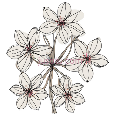 花朵, PNG