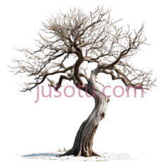 树,盆景,棕色PNG