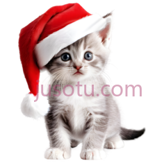 小猫,可爱,灰色PNG