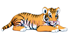 小老虎PNG
