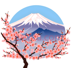 樱花树,插画,粉色, PNG