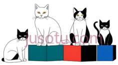 猫,立方体,卡通,彩色,绿色, 红色, 蓝色PNG