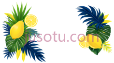 柠檬,叶子,卡通,绿色PNG