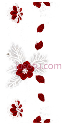 蕾丝,复杂的花卉图案,白色,红色PNG