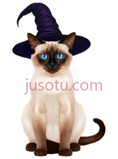 猫,戴帽子,白色,棕色PNG