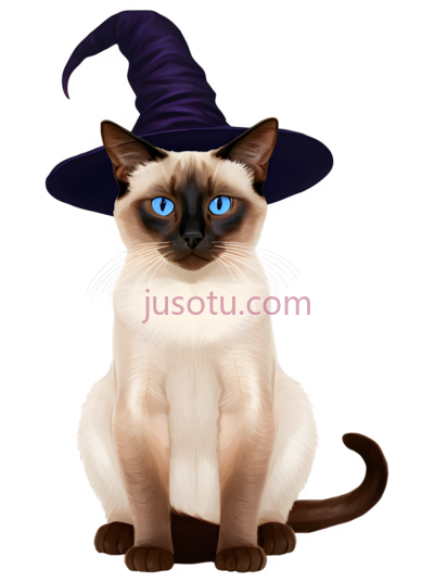 猫,戴帽子,白色,棕色, PNG