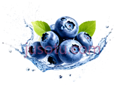 蓝莓,卡通,蓝色PNG