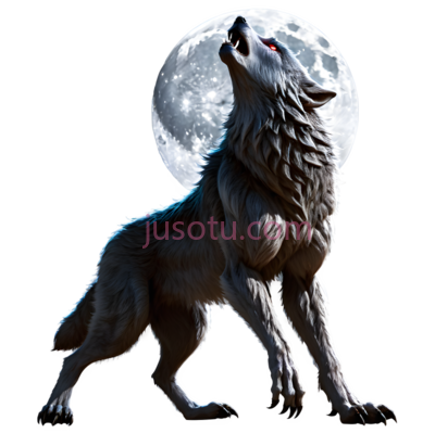 狼,3D,白色, PNG