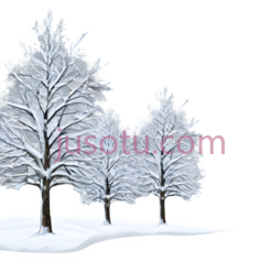 雪树,插画,白色, PNG
