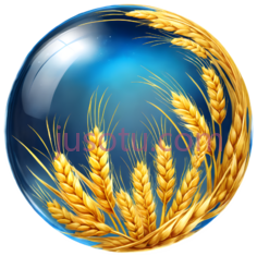 麦穗,插画,金黄色PNG
