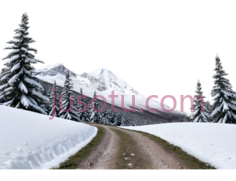 雪景,自然风光,白色, 绿色, 棕色PNG