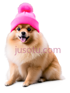 博美犬,戴粉色毛线帽,浅棕色PNG