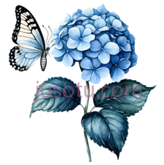 绣球花,插画,蓝色PNG
