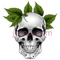 骷髅,插画,白色,绿色PNG