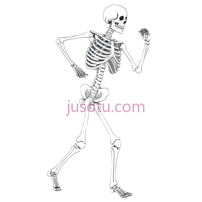 骨骼,舞蹈, PNG