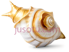 金色螺壳PNG
