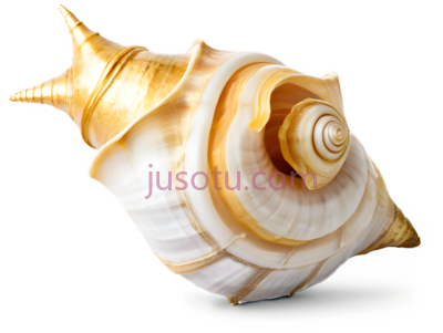 金色螺壳, PNG