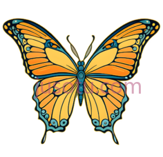 蝴蝶,卡通,橙色,黄色,蓝色PNG