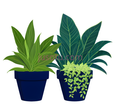盆栽植物,插画,绿色, PNG