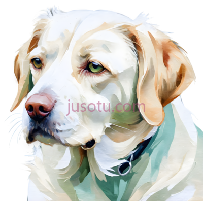 肖像,犬, PNG