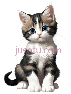 小猫,卡通,黑色,白色,棕色PNG