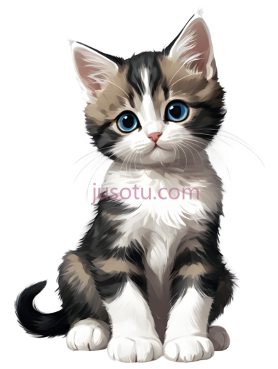 小猫,卡通,黑色,白色,棕色, PNG