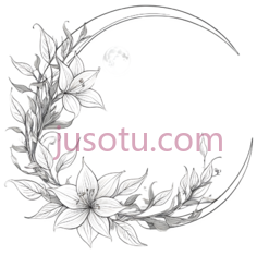 月亮,花朵,线条画,白色PNG