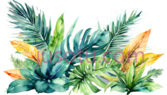 植物,水彩画,绿色,蓝色,黄色, PNG