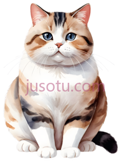 可爱猫咪PNG