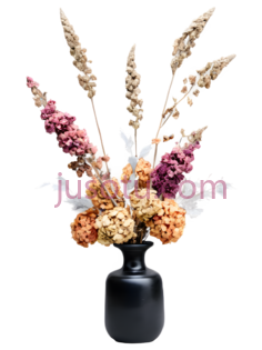花,干花,紫色,橙色,黄色PNG
