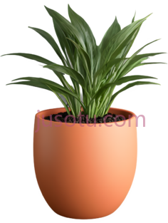盆栽, PNG