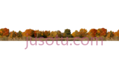 树木,秋天的森林,黄色,橙色,绿色PNG