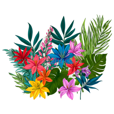 花朵,叶子,插画,红色,粉色,黄色,蓝色,绿色, PNG