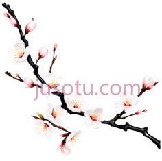 桃花,插画,粉色PNG