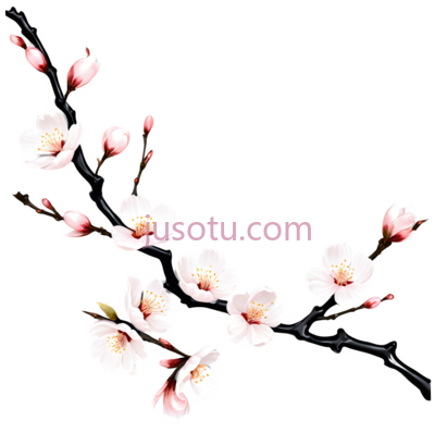 桃花,插画,粉色, PNG