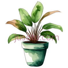 盆栽,插画,绿色PNG