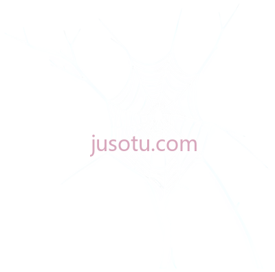 蜘蛛网,白色, PNG
