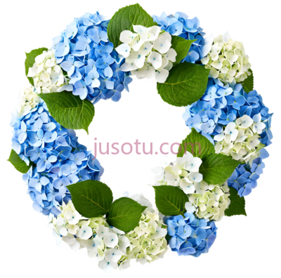 绣球花环,圆形,蓝色,白色, PNG