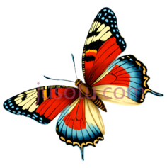 蝴蝶,卡通,红色,蓝色,黄色PNG