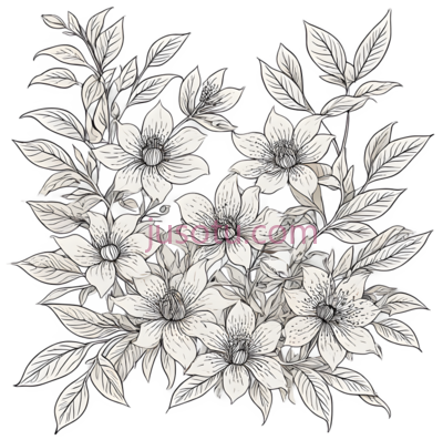 花朵,线条画,白色, PNG