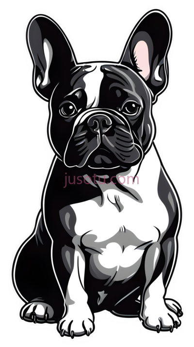 法式斗牛犬,可爱, PNG